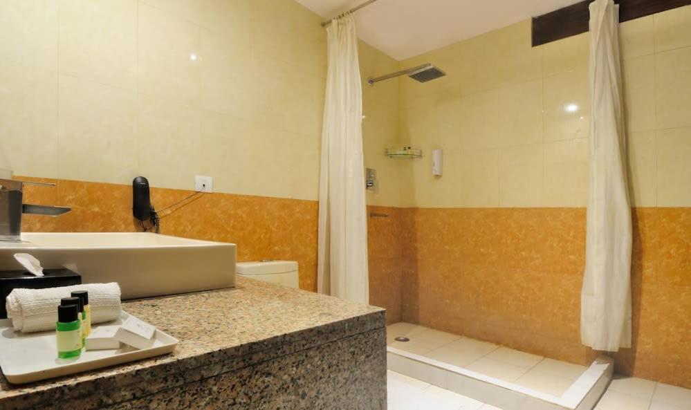 Zenith Hotel - Delhi Airport New Delhi Eksteriør bilde
